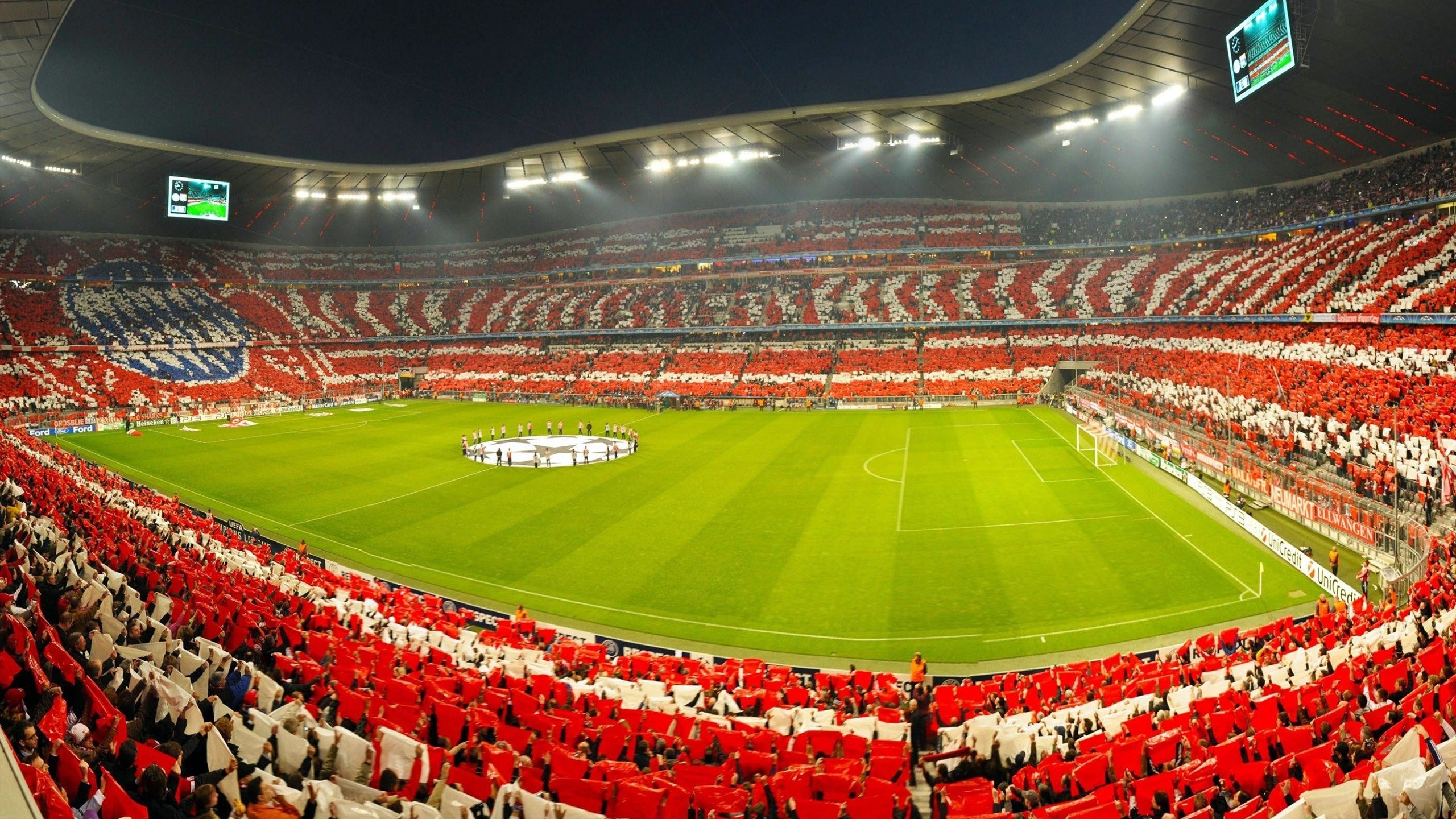 开云真人-“美洲狮队再度登顶,阿根廷橄榄球未来光明”